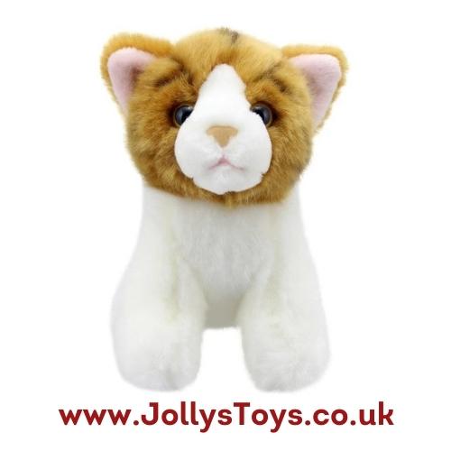 Wilberry Ginger Cat Soft Toy